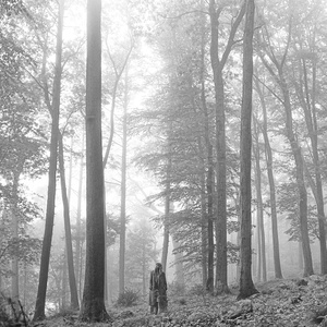 Taylor Swift in a misty, black and white forest, evoking the folklore/evermore aesthetic